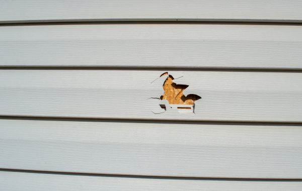 Professional Siding Hole Repair