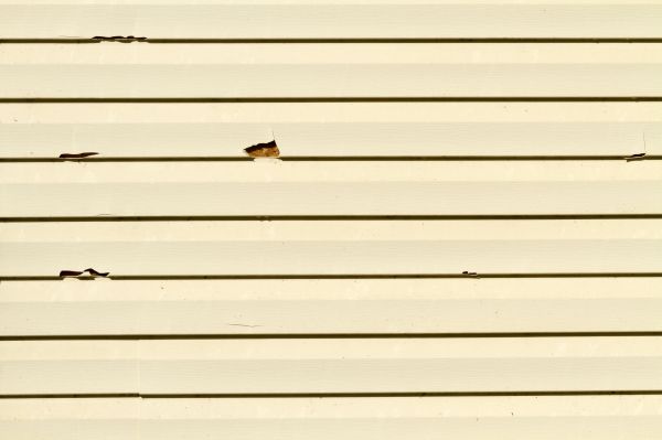 Siding Hole Restoration