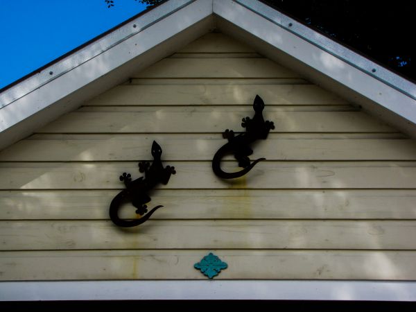 Professional Shiplap Siding Installation